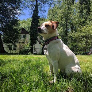 Meet your Posher, JG